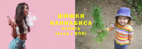 гидра Белокуриха