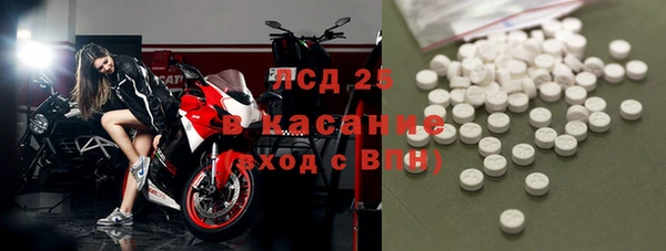 гидра Белокуриха