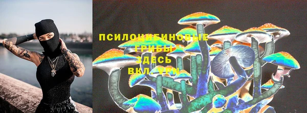 гидра Белокуриха