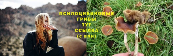 ECSTASY Беломорск